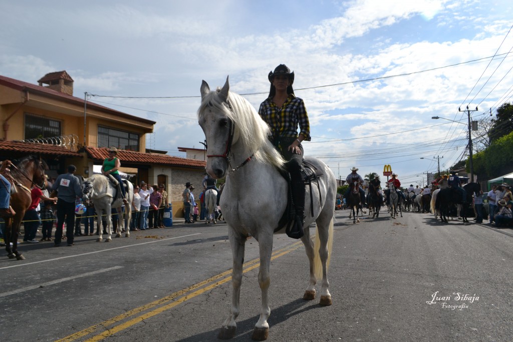 Foto: TOPE ALAJUELA 2013 - Alajuela, Costa Rica