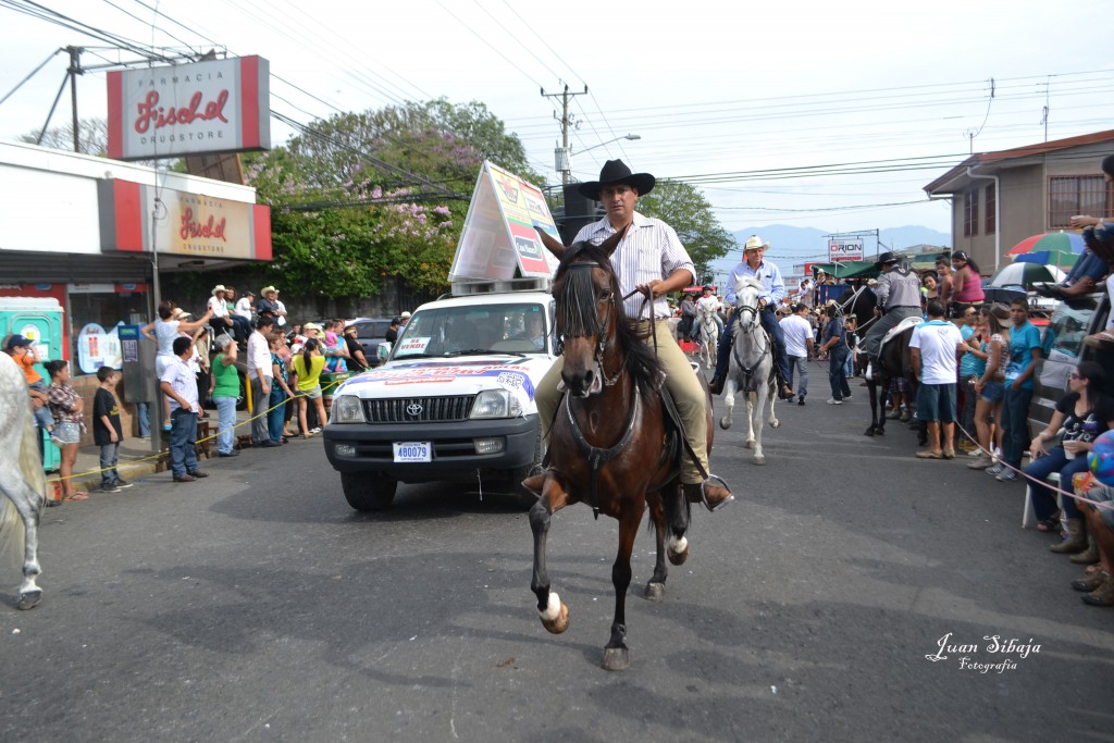 Foto: TOPE ALAJUELA 2013 - Alajuela, Costa Rica