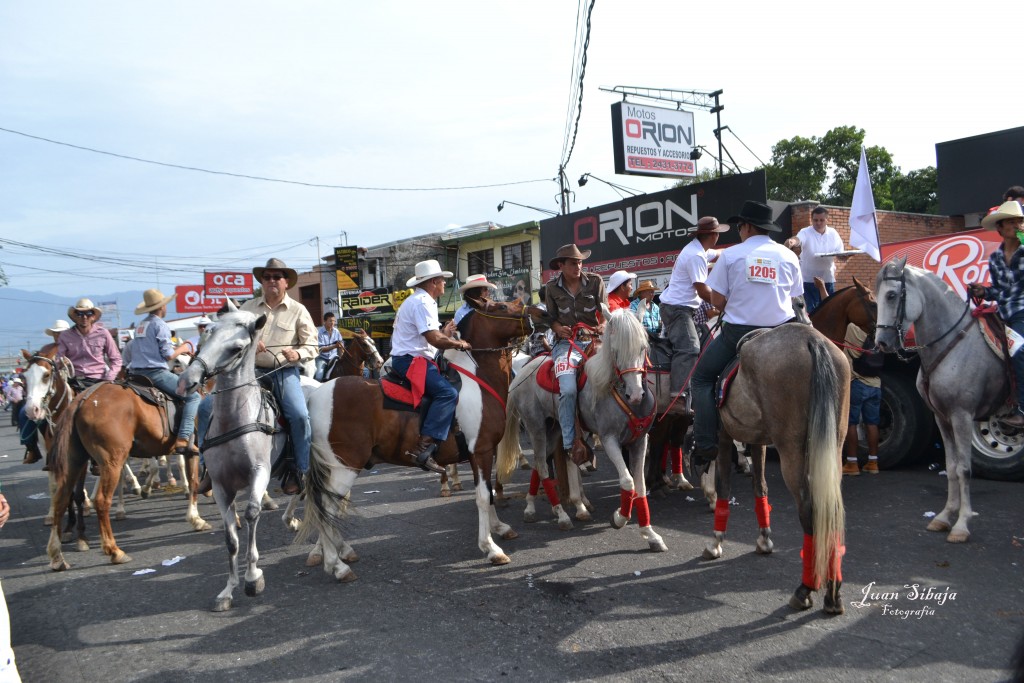 Foto: TOPE ALAJUELA 2013 - Alajuela, Costa Rica