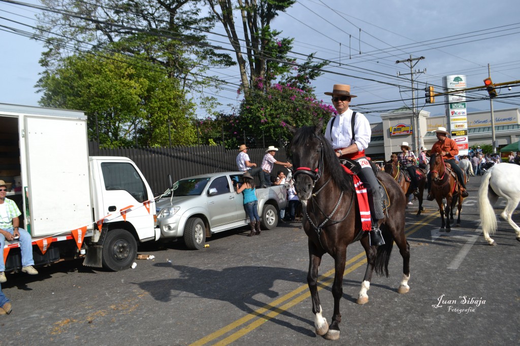 Foto: Tope Alajuela 2013 - Alajuela, Costa Rica