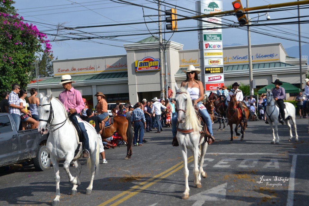 Foto: Tope Alajuela 2013 - Alajuela, Costa Rica