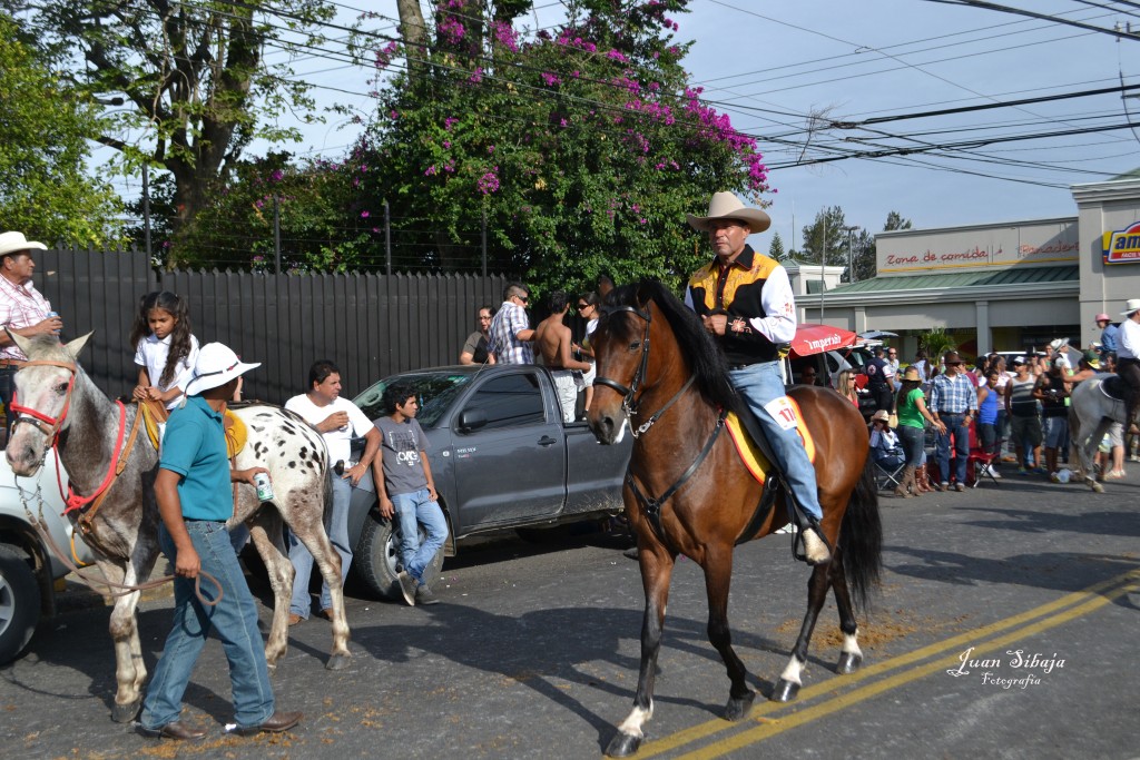 Foto: TOPE ALAJUELA 2013 - Alajuela, Costa Rica