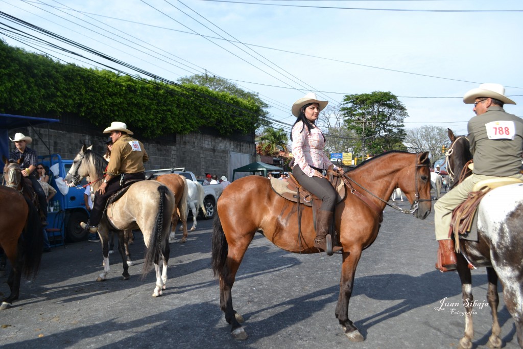 Foto: Tope Alajuela 2013 - Alajuela, Costa Rica