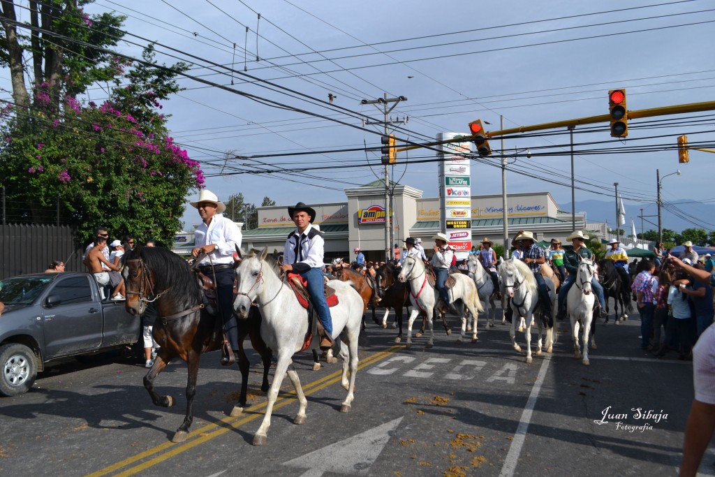 Foto: TOPE ALAJUELA 2013 - Alajuela, Costa Rica