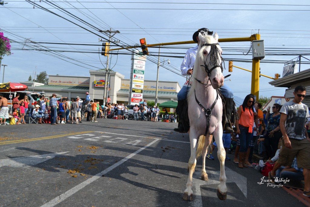 Foto: TOPE ALAJUELA 2013 - Alajuela, Costa Rica
