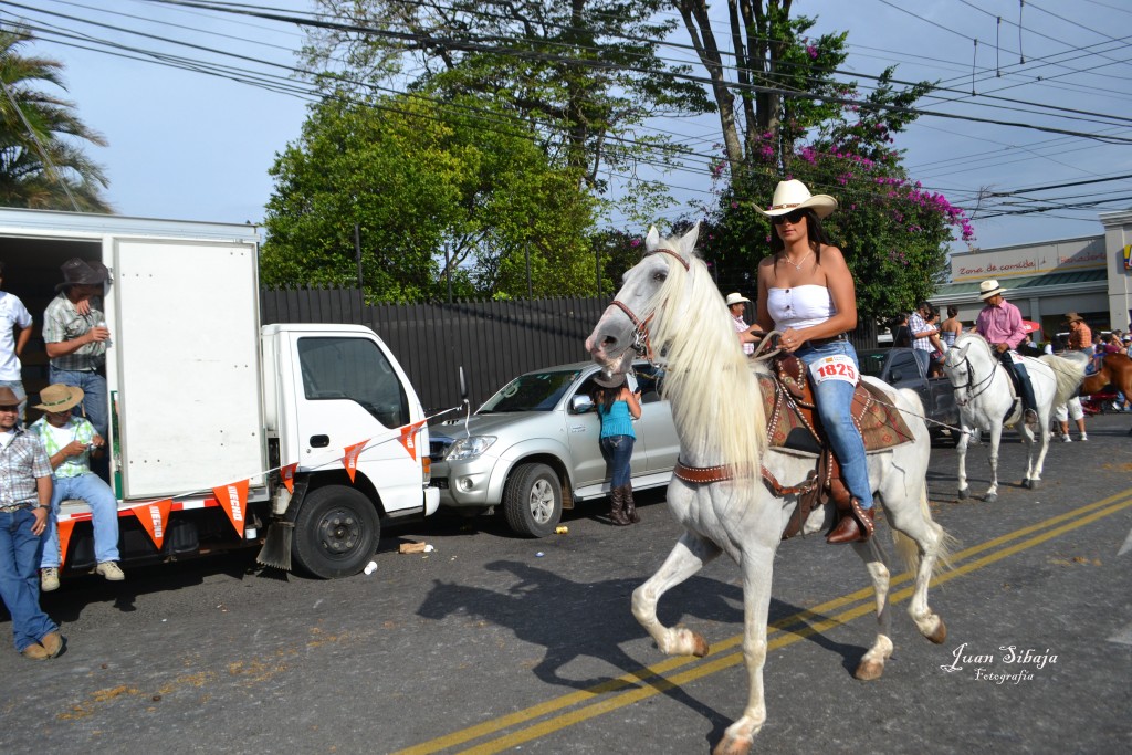 Foto: Tope Alajuela 2013 - Alajuela, Costa Rica
