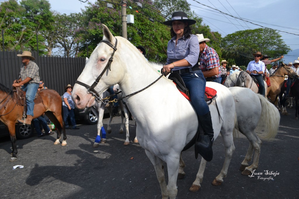 Foto: TOPE ALAJUELA 2013 - Alajuela, Costa Rica
