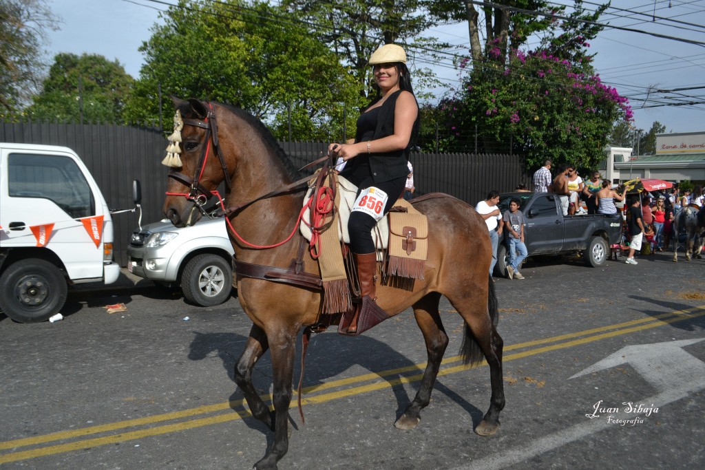 Foto: TOPE ALAJUELA 2013 - Alajuela, Costa Rica