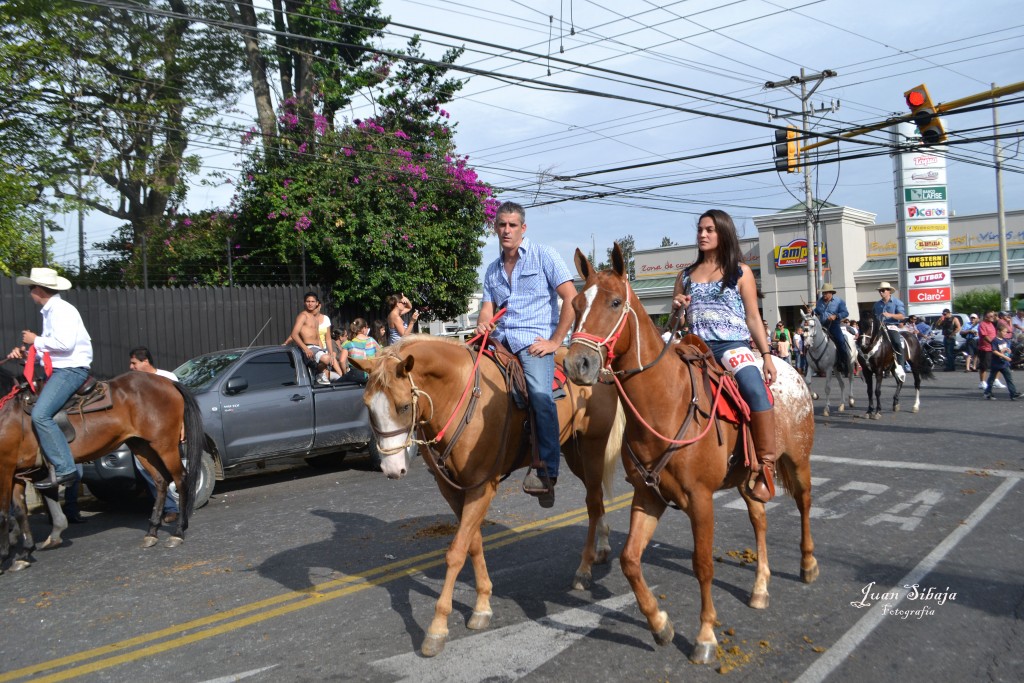 Foto: Tope Alajuela 2013 - Alajuela, Costa Rica