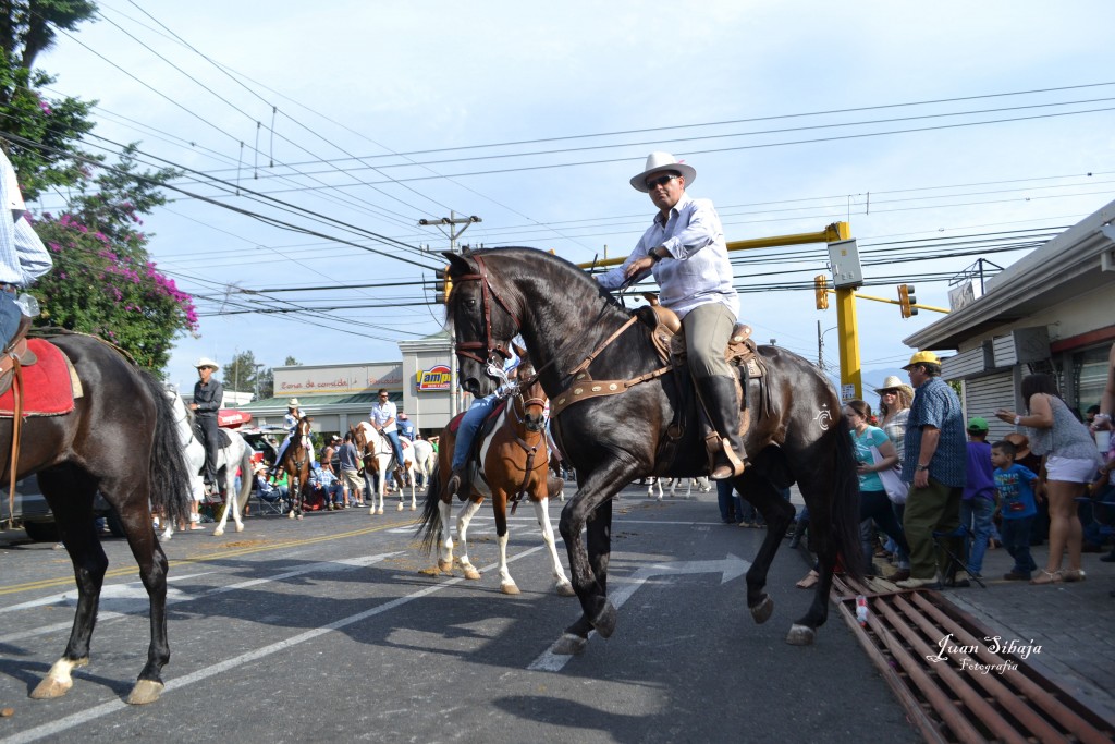 Foto: Tope Alajuela 2013 - Alajuela, Costa Rica