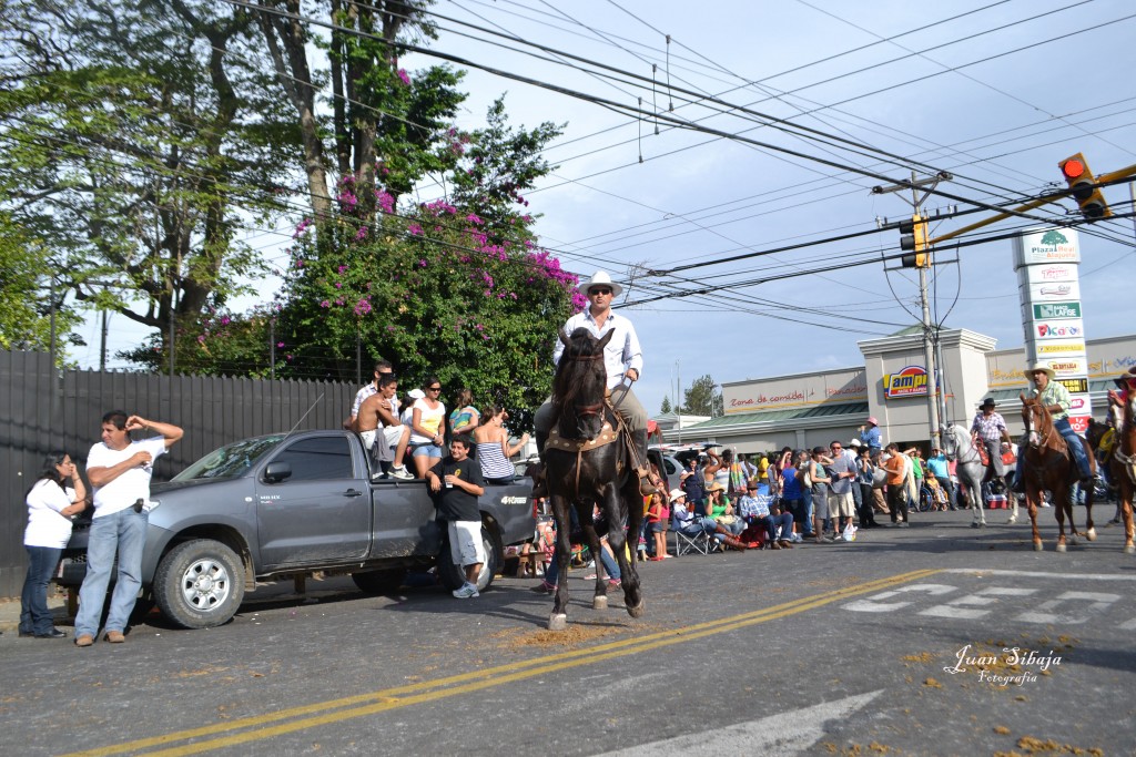 Foto: TOPE ALAJUELA 2013 - Alajuela, Costa Rica