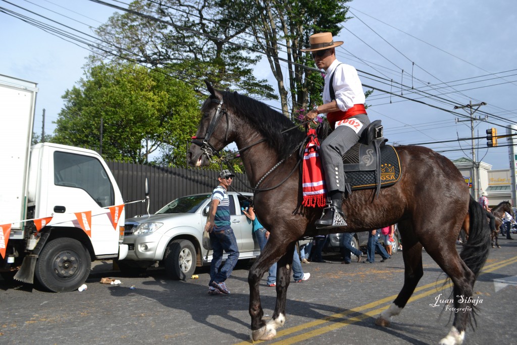 Foto: Tope Alajuela 2013 - Alajuela, Costa Rica