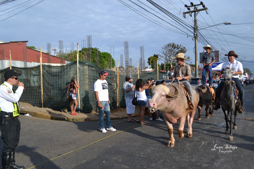 Foto: Tope Alajuela 2013 - Alajuela, Costa Rica