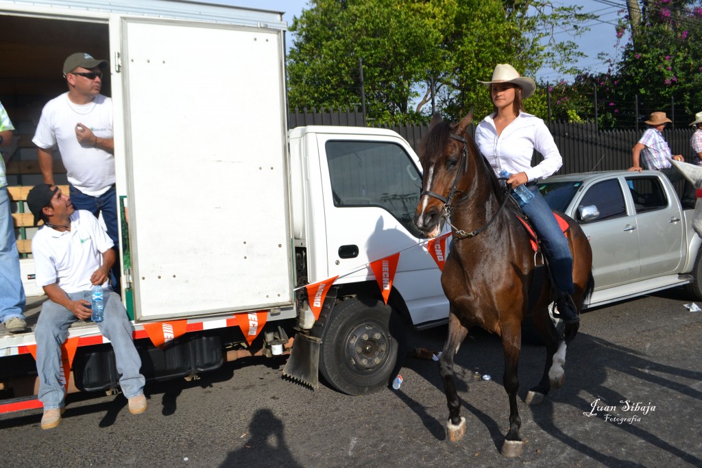 Foto: Tope Alajuela 2013 - Alajuela, Costa Rica