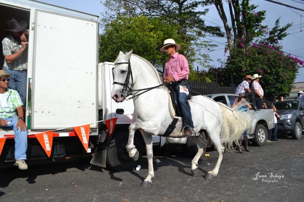 Foto: Tope Alajuela 2013 - Alajuela, Costa Rica