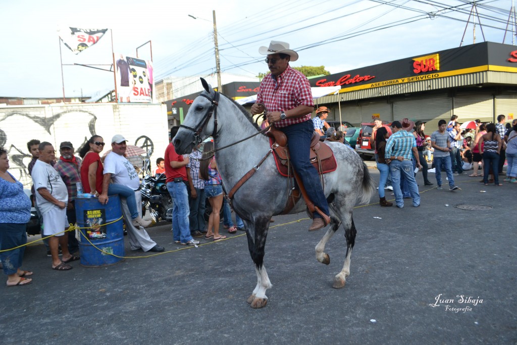 Foto: Tope Alajuela 2013 - Alajuela, Costa Rica