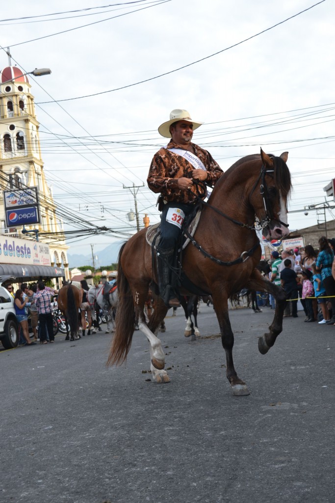 Foto: Tope Alajuela 2013 - Alajuela, Costa Rica