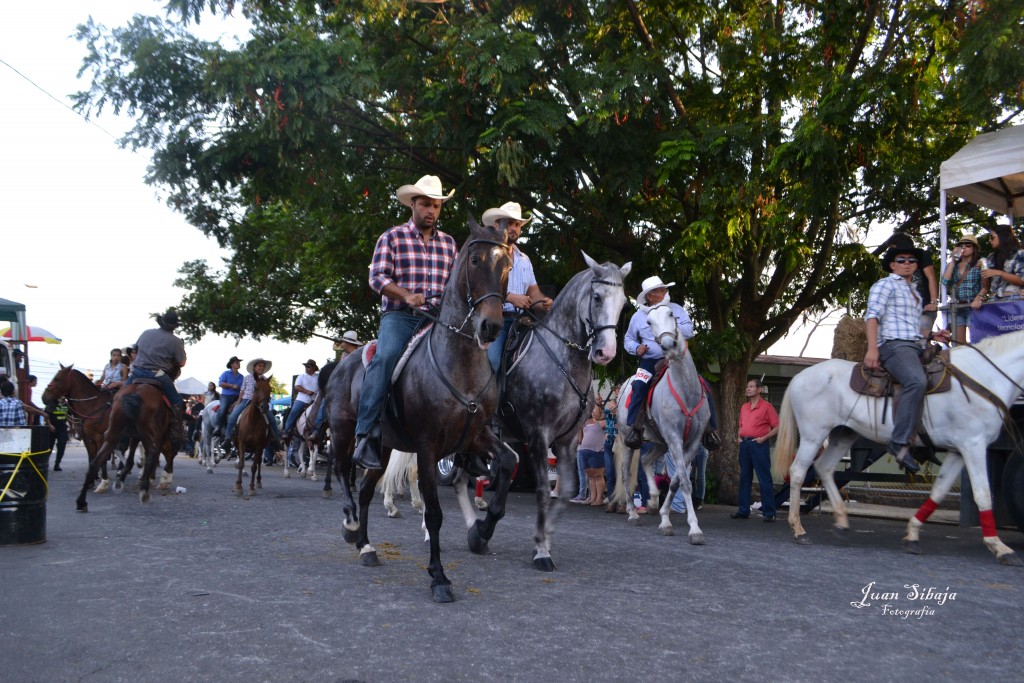 Foto: Tope Alajuela 2013 - Alajuela, Costa Rica