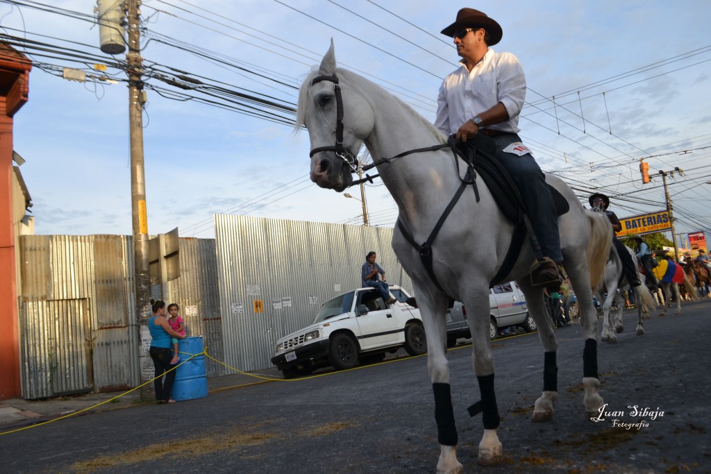 Foto: Tope Alajuela 2013 - Alajuela, Costa Rica
