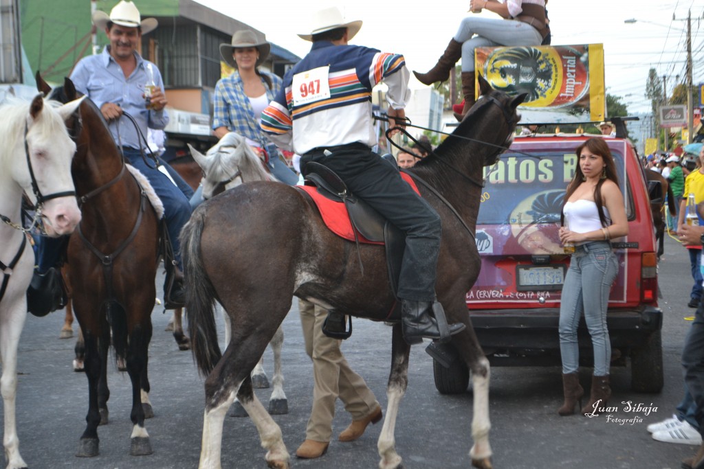 Foto: Tope Alajuela 2013 - Alajuela, Costa Rica
