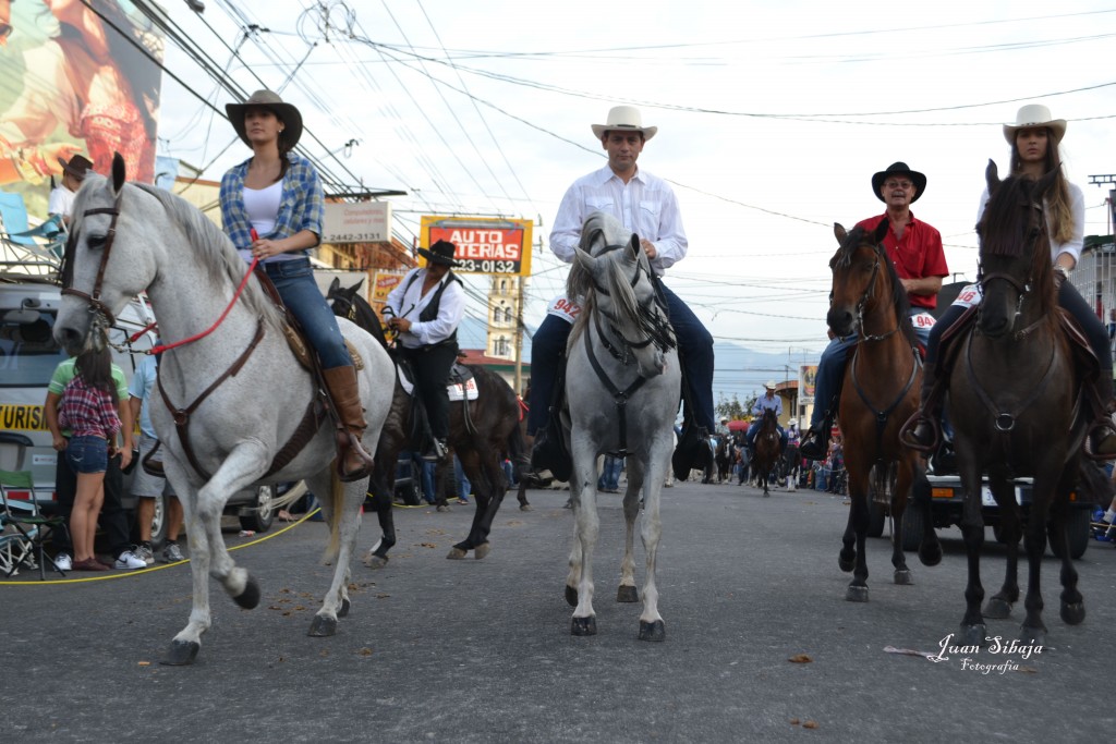 Foto: Tope Alajuela 2013 - Alajuela, Costa Rica