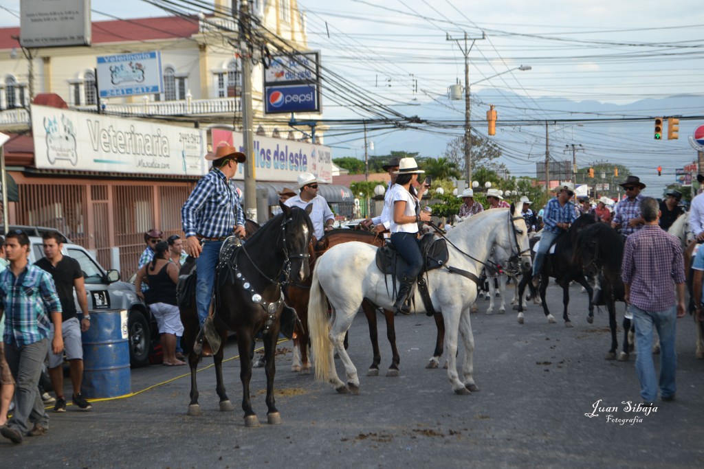 Foto: Tope Alajuela 2013 - Alajuela, Costa Rica