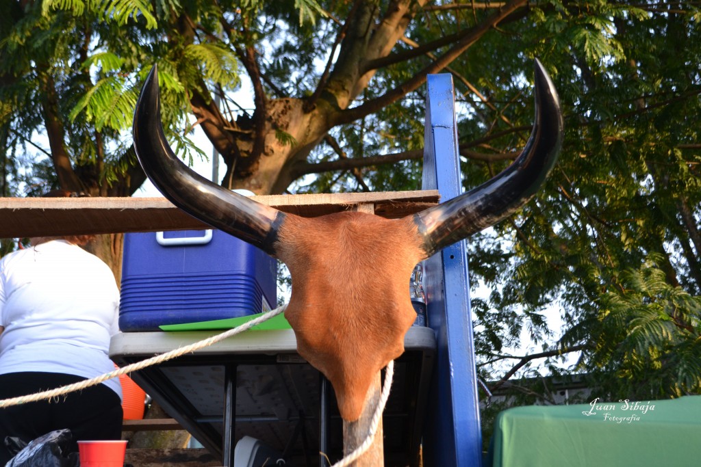 Foto: Tope Alajuela 2013 - Alajuela, Costa Rica