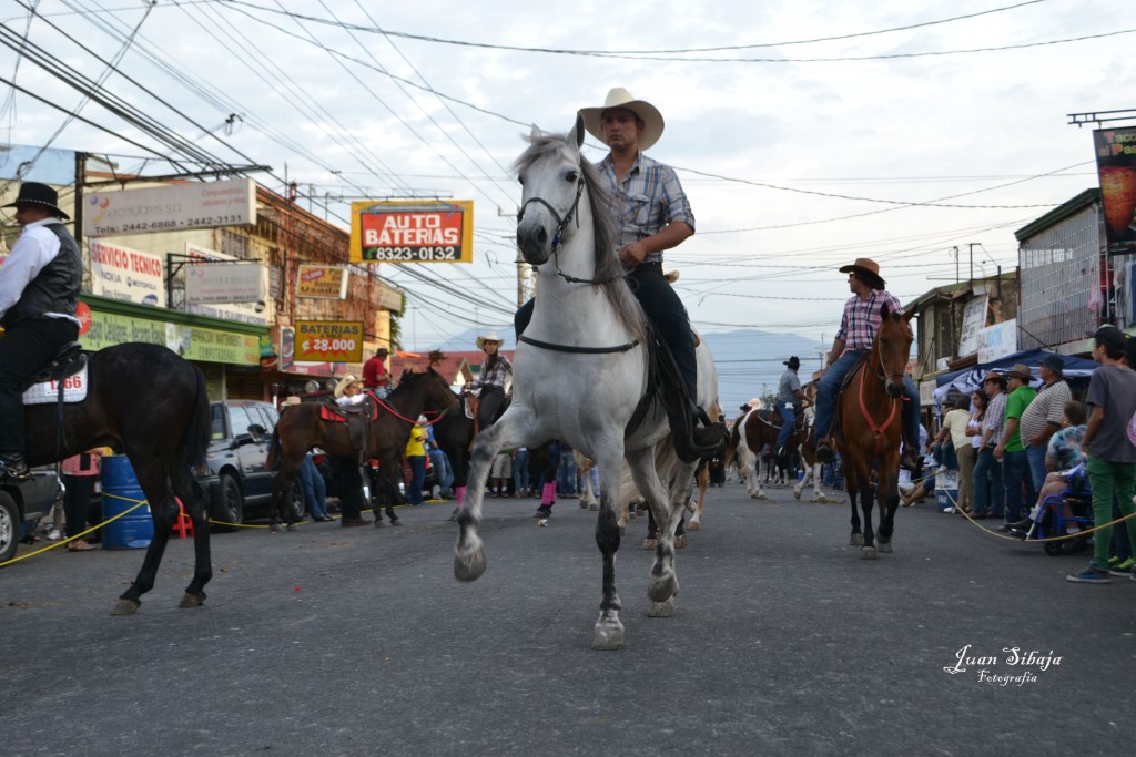 Foto: Tope Alajuela 2013 - Alajuela, Costa Rica