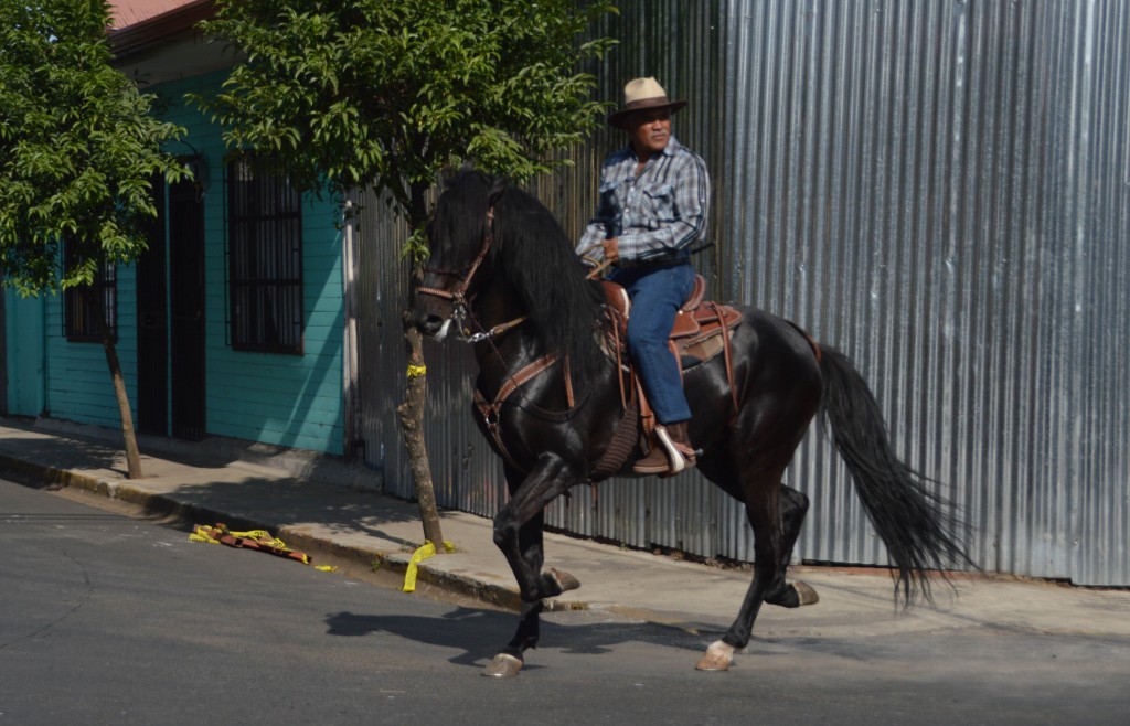Foto: Tope Alajuela 2014 - Alajuela, Costa Rica