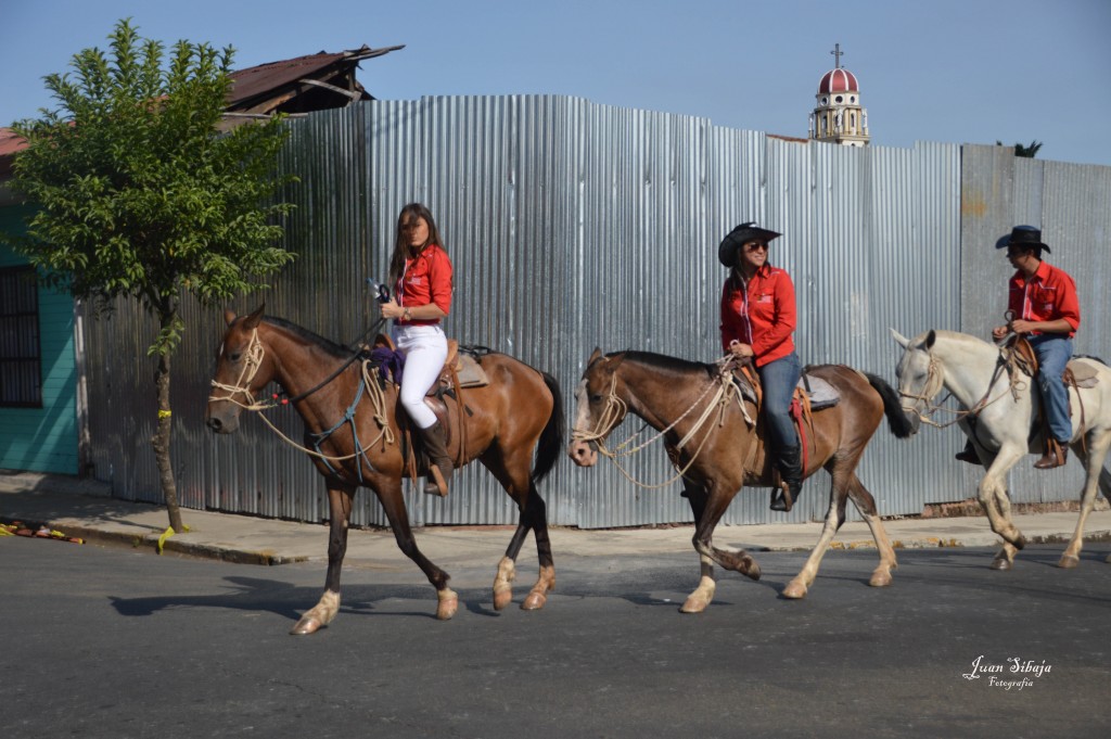 Foto: Tope Alajuela 2014 - Alajuela, Costa Rica