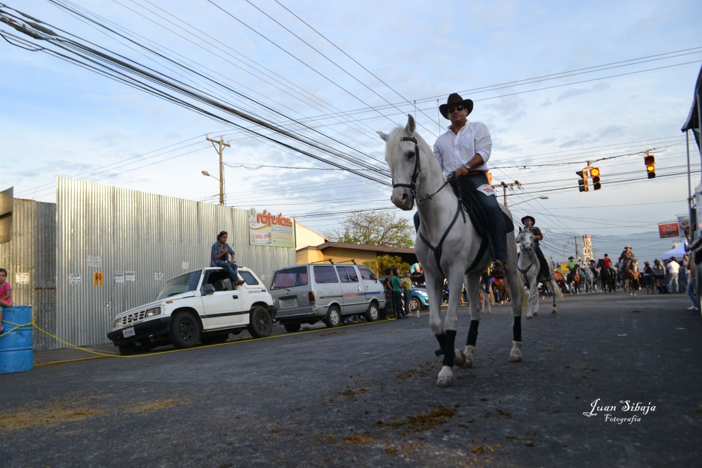Foto: Tope Alajuela 2013 - Alajuela, Costa Rica