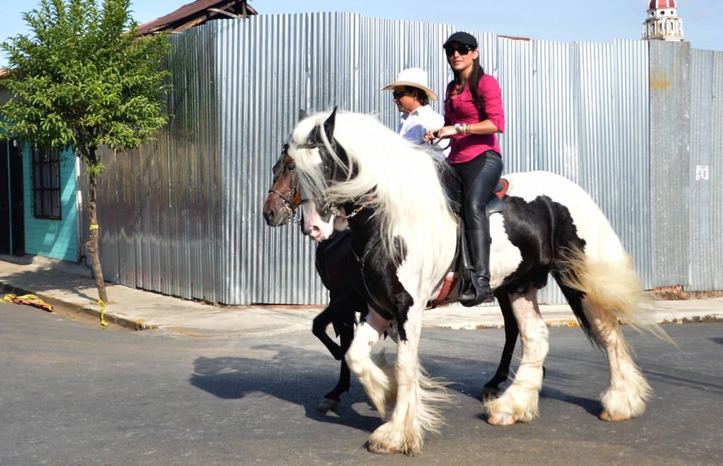 Foto: Tope Alajuela 2014 - Alajuela, Costa Rica
