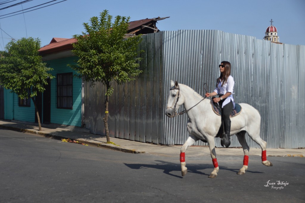 Foto: Tope Alajuela 2014 - Alajuela, Costa Rica