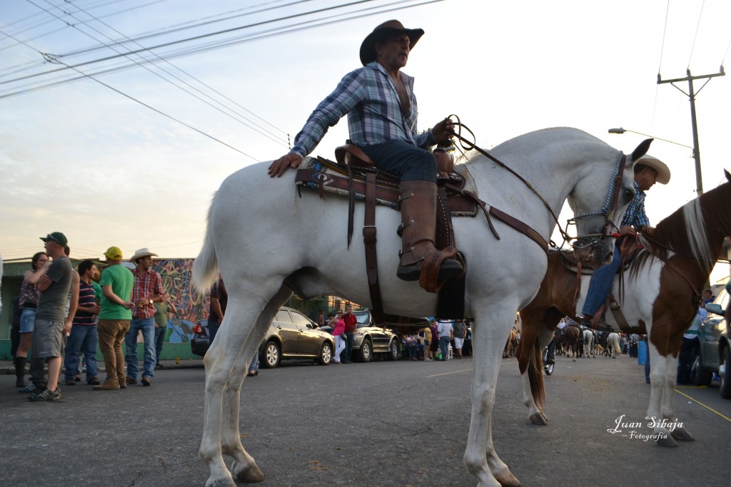 Foto: Tope Alajuela 2013 - Alajuela, Costa Rica