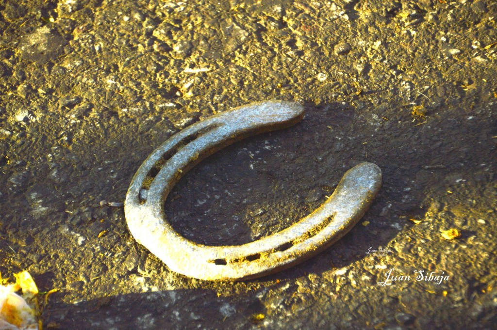 Foto: Tope Alajuela 2014 - Alajuela, Costa Rica