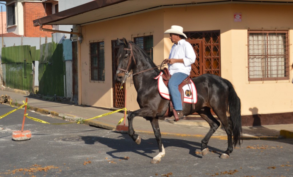 Foto: Tope Alajuela 2014 - Alajuela, Costa Rica