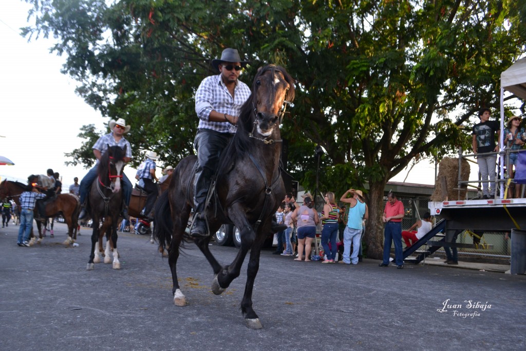 Foto: Tope Alajuela 2013 - Alajuela, Costa Rica