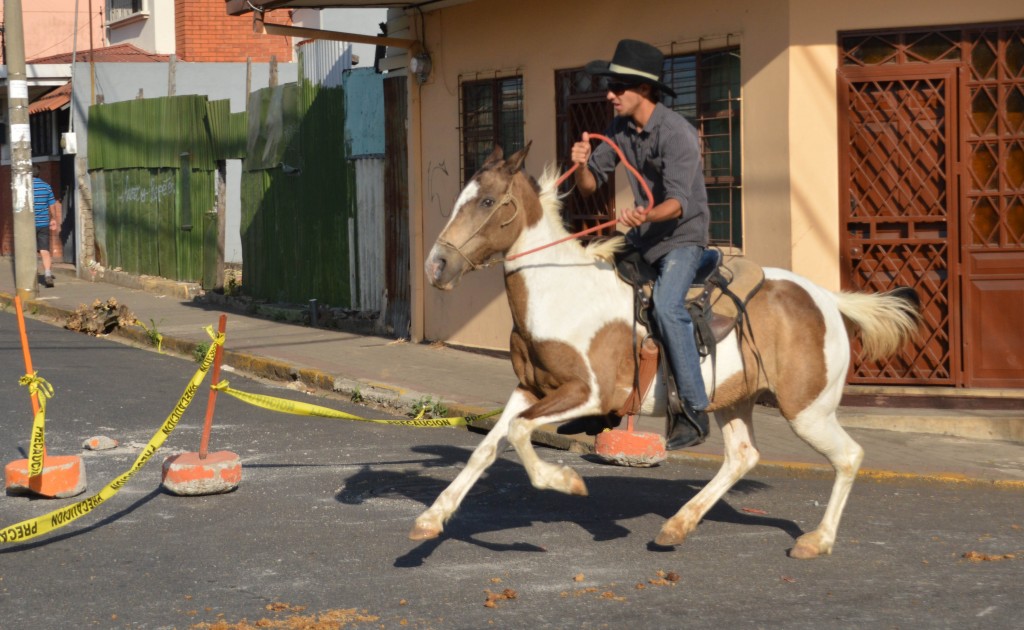 Foto: Tope Alajuela 2014 - Alajuela, Costa Rica
