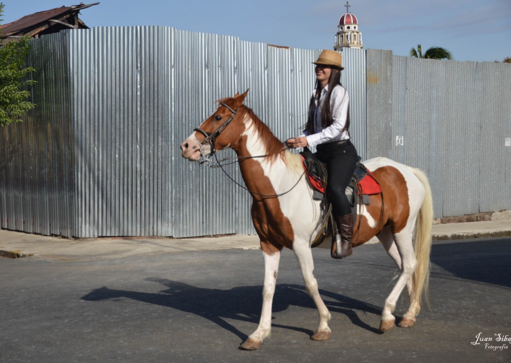 Foto: Tope Alajuela 2014 - Alajuela, Costa Rica
