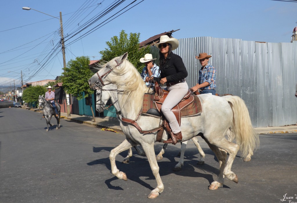 Foto: Tope Alajuela 2014 - Alajuela, Costa Rica