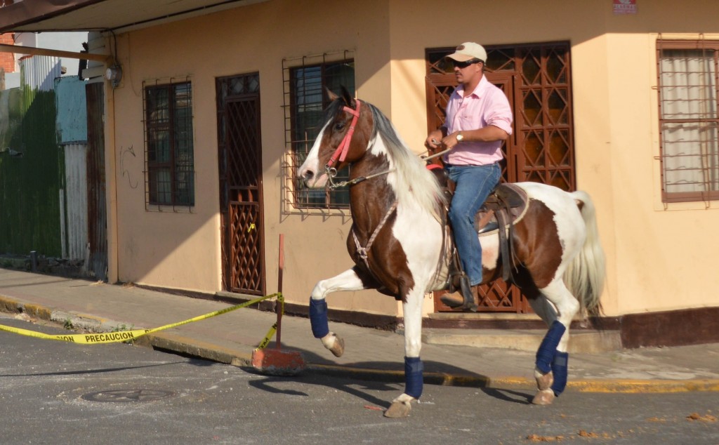 Foto: Tope Alajuela 2014 - Alajuela, Costa Rica