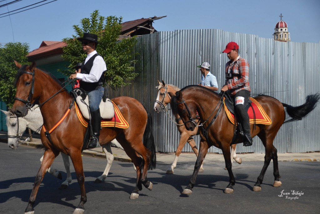 Foto: Tope Alajuela 2014 - Alajuela, Costa Rica