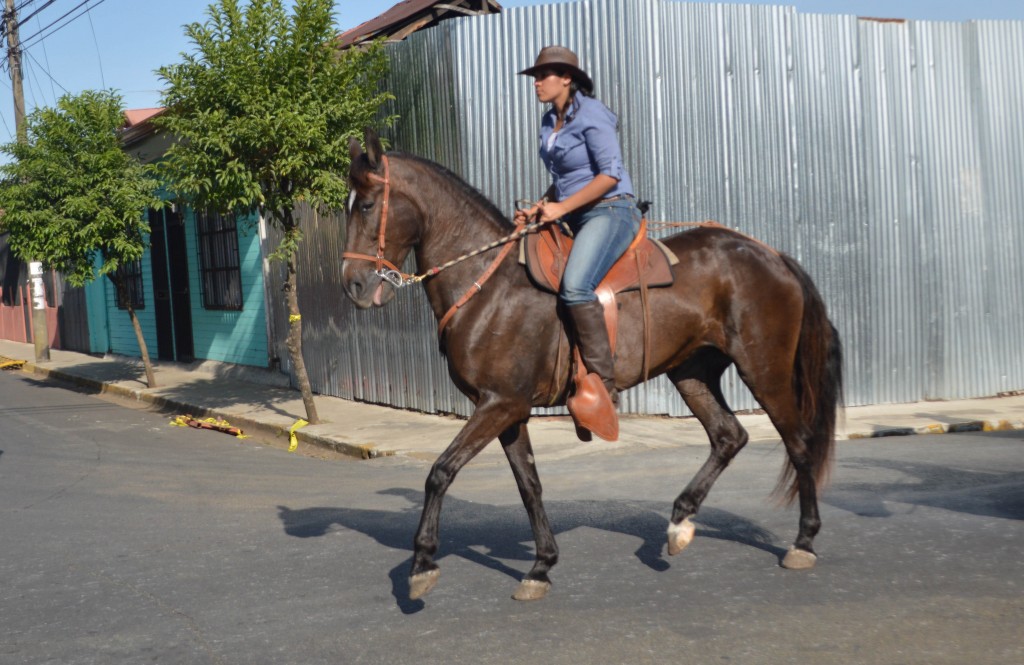 Foto: Tope Alajuela 2014 - Alajuela, Costa Rica