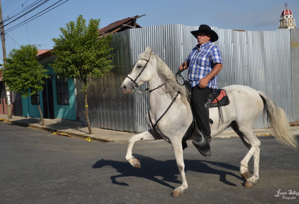 Foto: Tope Alajuela 2014 - Alajuela, Costa Rica