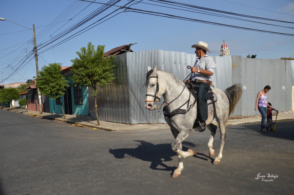Foto: Tope Alajuela 2014 - Alajuela, Costa Rica