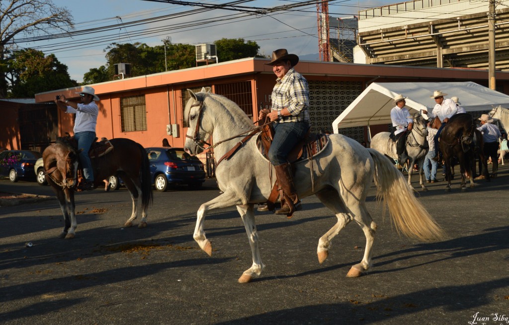 Foto: Tope Alajuela 2014 - Alajuela, Costa Rica