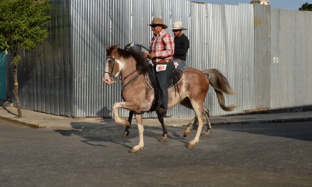 Foto: Tope Alajuela 2014 - Alajuela, Costa Rica