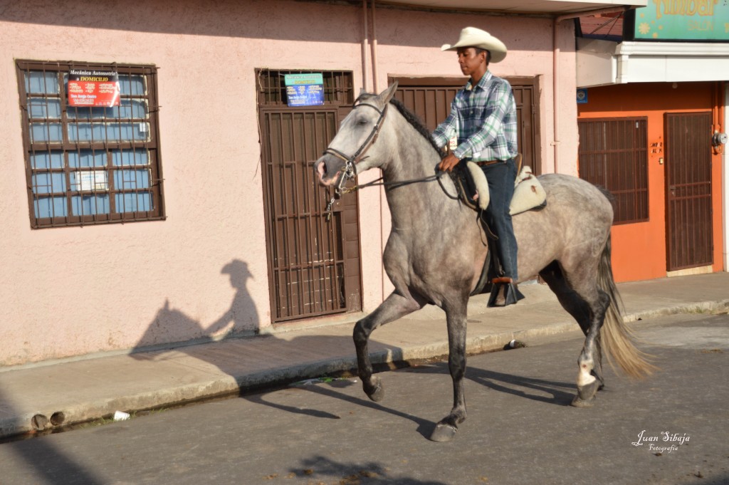 Foto: Tope Alajuela 2014 - Alajuela, Costa Rica