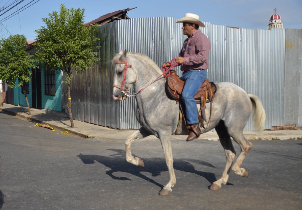 Foto: Tope Alajuela 2014 - Alajuela, Costa Rica