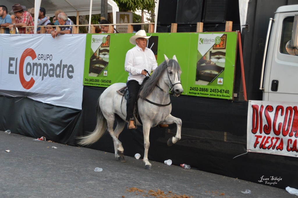 Foto: Tope Alajuela 2014 - Alajuela, Costa Rica